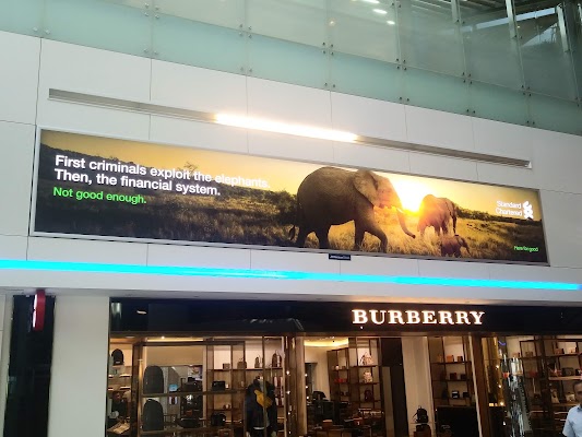 Arriba 51+ imagen burberry dubai airport